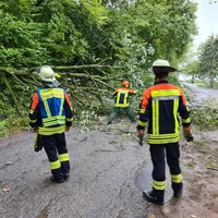 baum_auf_fahrbahn_17082022.jpg