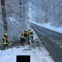 Schneebruch2_28.11.2023.jpg