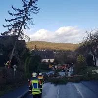 baum_droht_zu_fallen_14122019.jpg