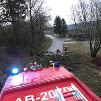 baum_auf_fahrbahn_10022020.jpeg