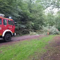 baum_auf_fahrbahn_04082023.jpg