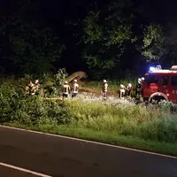baum_auf_fahrbahn_09072021.jpg