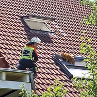 kleintierrettung_29052023.jpg
