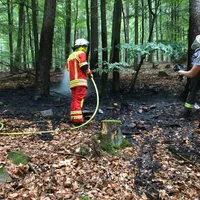 waldbrand_082018.jpg