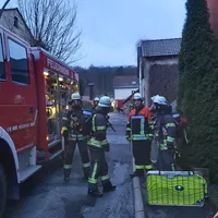 brand_eichenberg_11032023.jpeg
